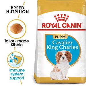 breed health nutrition cavalier king charles puppy 1.5 kg
