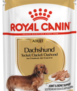 breed health nutrition dachshund adult (wet food pouches)