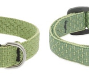 eco safety cat collar – moss