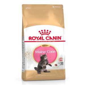 feline breed nutrition maine coon kitten 2 kg
