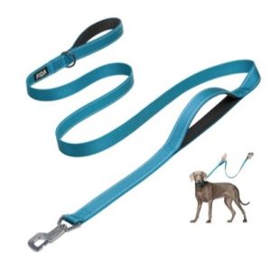 fida heavy duty dog leash – blue 4ft