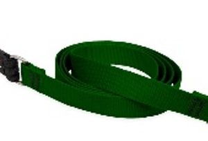green leash 4 long