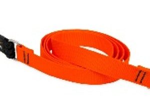 orange leash 4 long