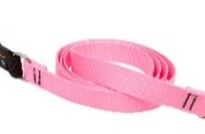 pink leash 4 long