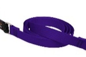 purple leash 4 long