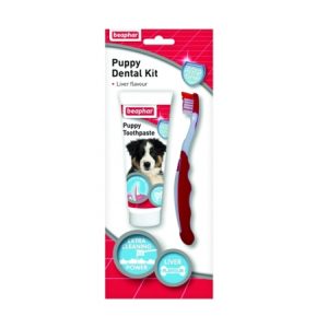 puppy dental kit 50 g