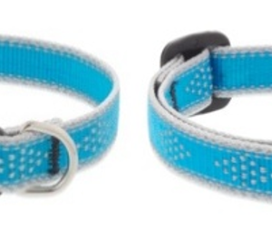 reflective safety cat collar – blue diamond