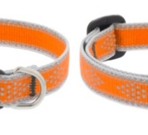 reflective safety cat collar – orange diamond