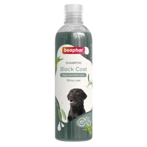 shampoo black coat for dogs 250 ml