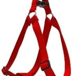 step in harness red 10 13